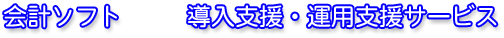 会計ソフト 導入支援・運用支援サービス