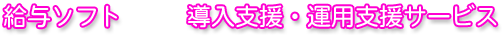 給与ソフト 導入支援・運用支援サービス